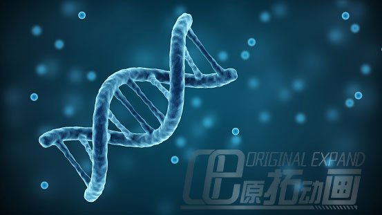 3D医学动画